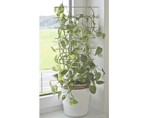 Blumenstütze FloraSelf® 34xH 77 cm, silber