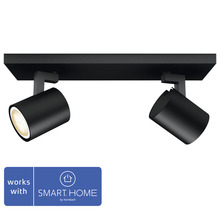 Plafonnier noir avec deux spots