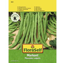 FloraSelf Markant Stangenbohne Samenpackung