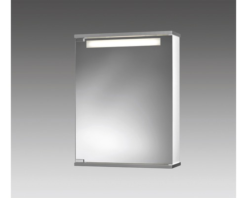 Spiegelschrank jokey Cento 50 cm weiss/alufarben 1-türig - HORNBACH | Spiegelschränke