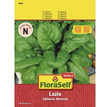 Sachet de graines d''épinards FloraSelf Lazio