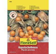 FloraSelf Kapstachelbeere Samenpackung