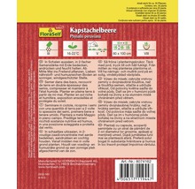 Verpackung Kapstachelbeere Samen der Marke FloraSelf