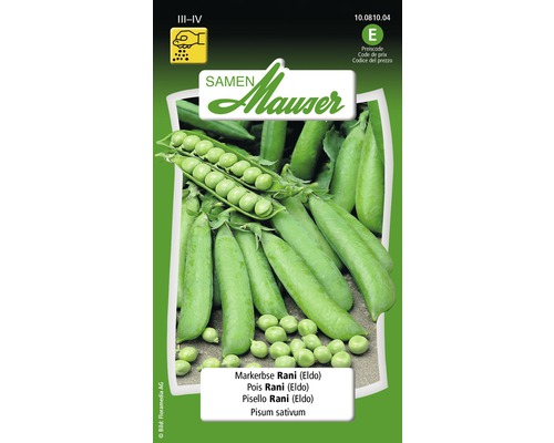 Pois à grains ridés Rani Graines potagères Samen Mauser Sachet de graines de pois ridé Rani de Mauser