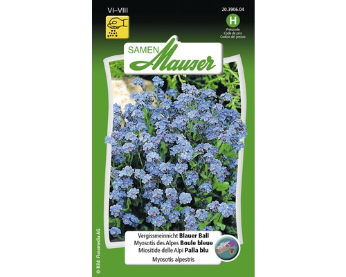 Myosotis des Alpes Boule bleue Graines de fleurs Samen Mauser