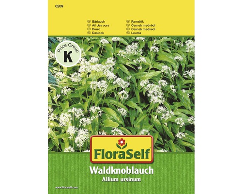 Ail des ours 'Waldknoblauch' FloraSelf semences stables semences de fines herbes