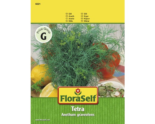 Aneth 'Tetra' FloraSelf semences stables semences de fines herbes