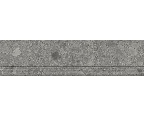 Feinsteinzeug Stufenfliese Donau grau 30x120 cm