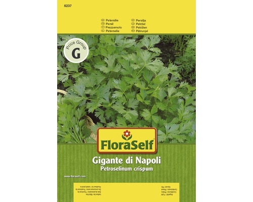 Persil 'Gigante di Napoli' FloraSelf semences stables semences de fines herbes
