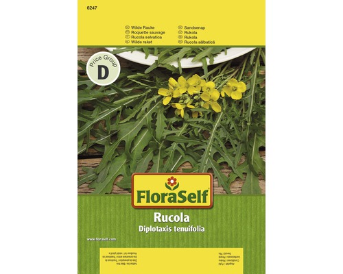 Rucola 'Wilde Rauke' FloraSelf samenfestes Saatgut Salatsamen-0