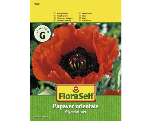 Pavot géant 'Olympiafeuer' FloraSelf semences stables graines de fleurs