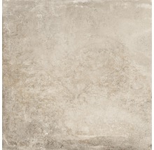 Carrelage de sol en grès cérame fin Spectra beige 28,6x58 cm