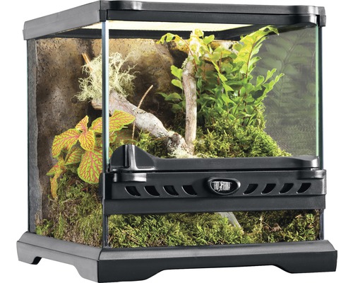 Terrarium, Paludarium Exo Terra 20 x 20 x 20 cm Terrarium, Paludarium Exo Terra 20 x 20 x 20 cm