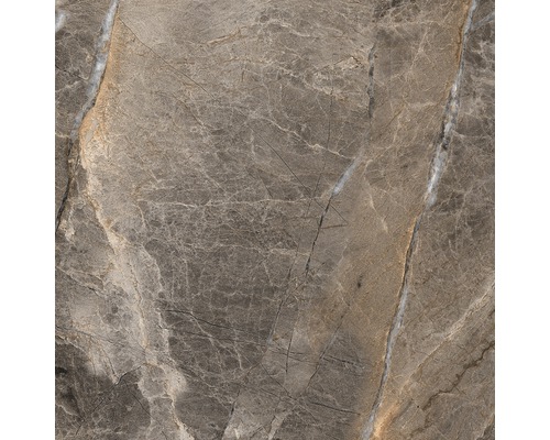 Carrelage de sol en grès cérame fin Alanya gris 80x80 cm