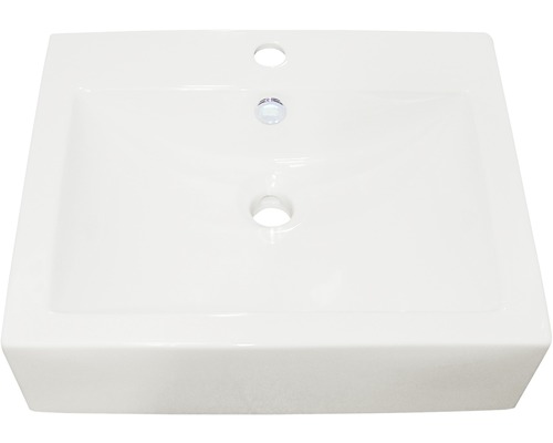 Vasque à poser Sanotechnik 52x43 cm blanc