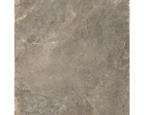 Wand- und Bodenfliese Schiefer taupe 60 x 60 cm