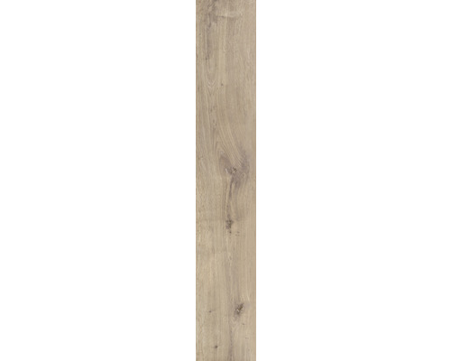 Wand- und Bodenfliese Essenze vaniglia 20x122 cm Wand- und Bodenfliese Essenze vaniglia 20x122 cm
