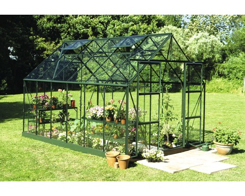 Gewächshaus Halls Magnum 128 9,9 m² Hohlkammerplatten 6 mm 257x384 cm grün Gewächshaus mit Pflanzenregalen und geöffnetem Dachfenster im Garten.