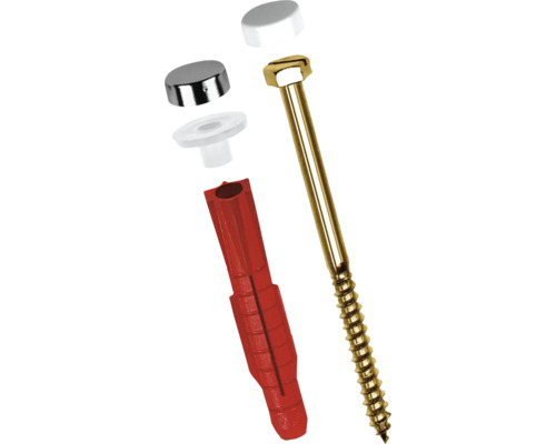 Schraube mit Dübel und Abdeckkappen