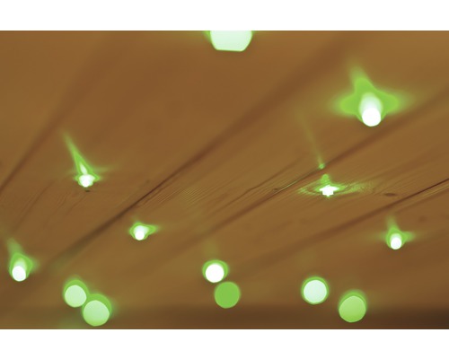 Plafond en bois avec luminaires intégrés