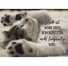 Schlafende Katze mit dem Schriftzug Glück ist, wenn einem beim Nichtstun nicht langweilig wird.