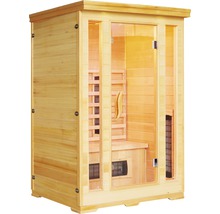Holz Sauna mit Glastür