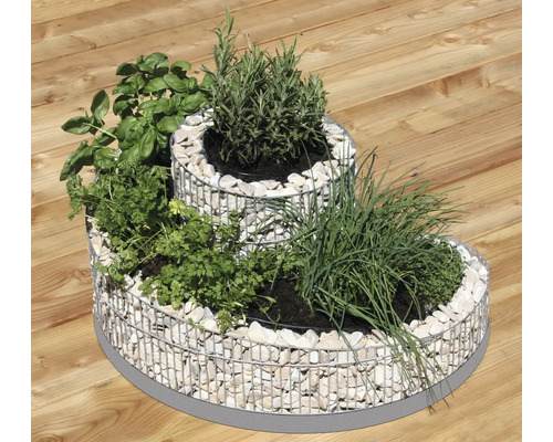 Jardin d''herbes aromatiques à plusieurs niveaux avec structure de gabions, planté de diverses herbes