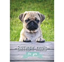 Geburtstagskarte mit Mops und der Aufschrift Birthday Kisses for you