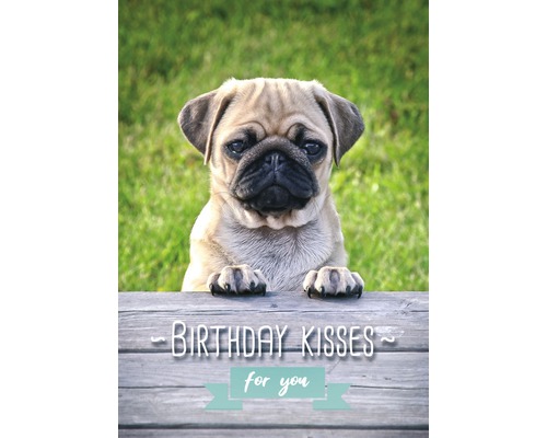 Geburtstagskarte mit Mops und der Aufschrift Birthday Kisses for you