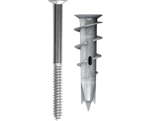 Une vis et une cheville métallique