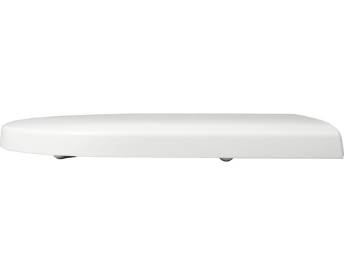 Toilettendeckel aus Kunststoff