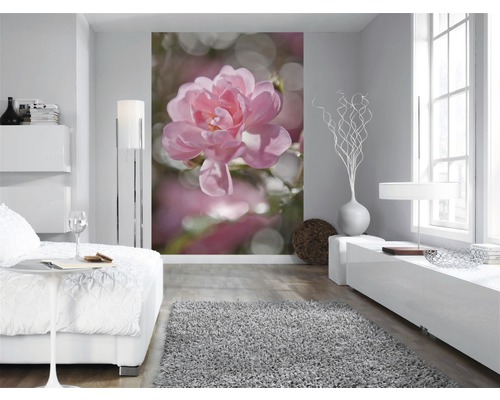 Salon avec papier peint photo d''une rose rose, canapé, tapis et éclairage