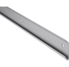 Dolle Wandleiste Walk-In 840 mm silber