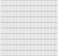 Doppelstabmatte ALBERTS 6/5/6 200 x 200 cm anthrazit