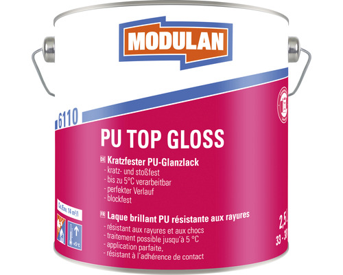 Pot de peinture brillante PU