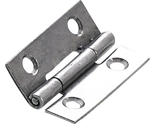 Charnière acier inoxydable 30x19 mm, 20 pièces Charnière métallique avec trous de fixation