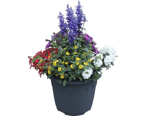 Pot de fleurs estivales 28 cm