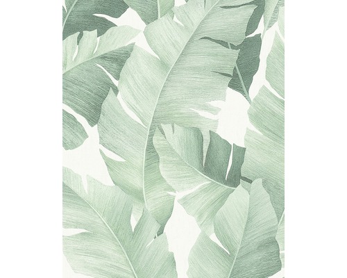 Papier peint intissé 31650 Avalon Floral blanc vert