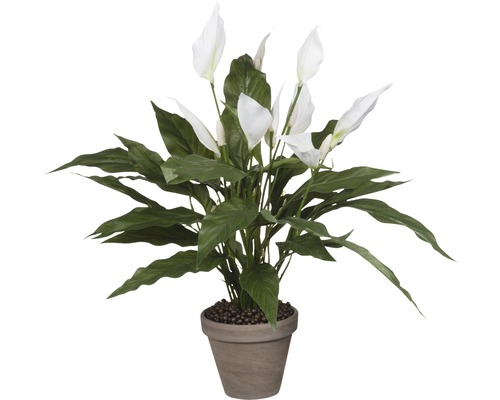 Plante artificielle Spathiphyllum H 50 cm blanc