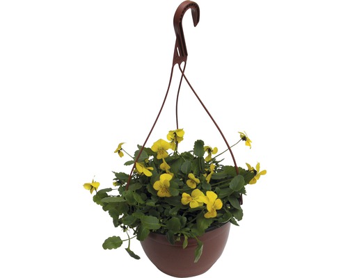 Suspension avec pensées jaunes