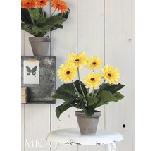 Gerbera décoratif en pot sur un tabouret