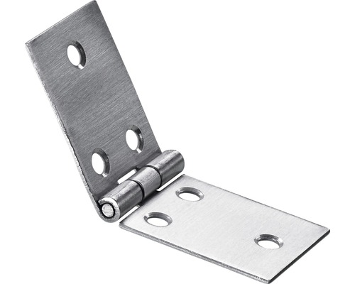 Charnière acier inoxydable 30x80 mm, 10 pièces Charnière en métal avec trous de fixation