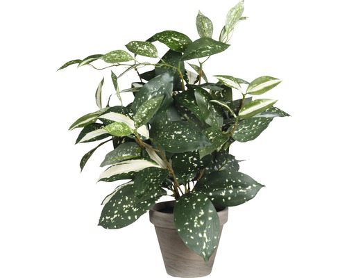 Plante artificielle Cordyline H 35 cm vert