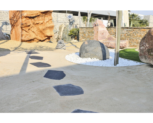 Jardin décoratif avec pierres et pas japonais