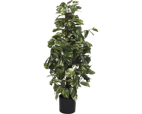 Kunstpflanze Scindapsus Höhe 100 cm, grün