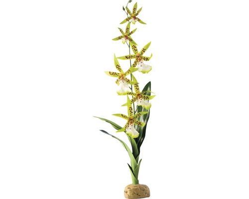 Plante en plastique orchidée pour Terrarium Exo Terra
