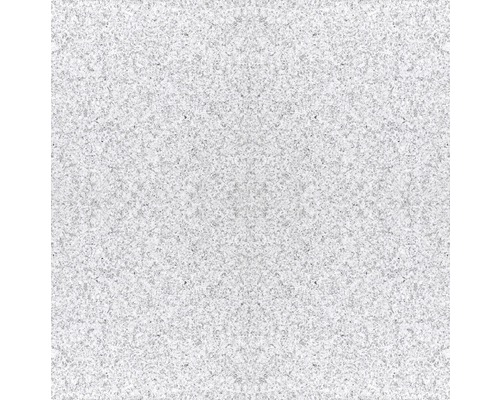 Carrelage sol et mur en granit 303 gris 30.5x30.5 cm Gros plan d''une surface texturée