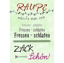 Postkarte Raupe Zack schön! 10,5x14,8 cm