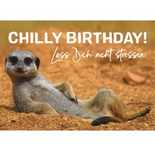 Postkarte Chilly Birthday! Lass dich nicht stressen. 14,8x10,5 cm