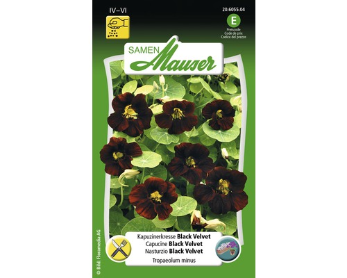 Kapuzinerkresse Black Velvet Blumensamen Samen Mauser
